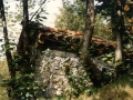 Txabola