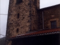 Dorrea