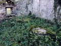 Aurriak