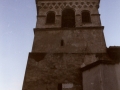 Dorrea