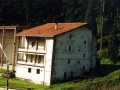 Laterala eta atzealdea