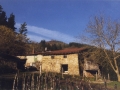 Bista orokorra