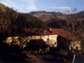 Bista orokorra