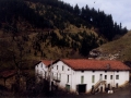 Bista orokorra