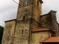 Dorrea