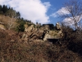 Aurriak
