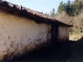 Laterala