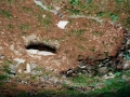 Trikuaizti I
