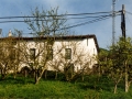 Bista orokorra