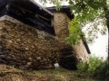 Laterala