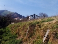 Bista orokorra