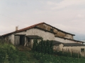 1085085.jpg