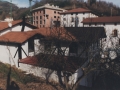 Bista laterala