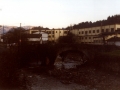 Bista orokorra