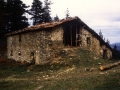 Bista orokorra (desagertuta)