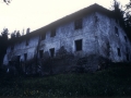 Bista orokorra