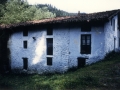 Bista orokorra