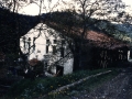 Bista orokorra