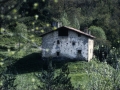 Bista orokorra (desagertuta)