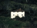 Bista orokorra