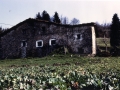 Bista orokorra