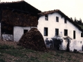 Bista orokorra