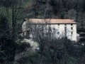 Bista orokorra