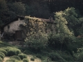 Bista orokorra