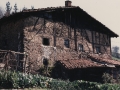 Bista orokorra