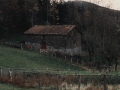 Bista orokorra