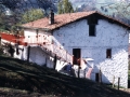 Bista orokorra