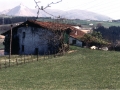 Bista orokorra