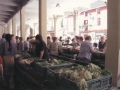 Barazki lehiaketa