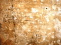 Apaindurak galeriaren horma batean (eskaneatuta).