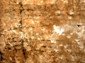 Apaindurak galeriaren horma batean (eskaneatuta).