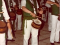 Danborrada