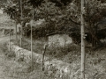 1088660.jpg