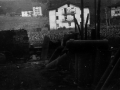 1088722.jpg