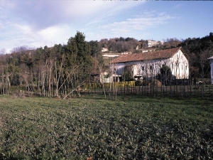 benartegi6