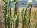 Naturaleza Dunas y Marismas