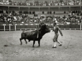 EL TORERO MEXICANO RODOLFO RODARTE TOREANDO EN LA PLAZA DE TOROS DE TOLOSA. (Foto 2/2)