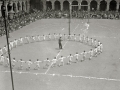 EXHIBICION GIMNASTICA Y DEPORTIVA DE UN GRUPO DE NIÑOS EN LA PLAZA DE LA CONSTITUCION. (Foto 3/6)