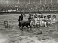 ACTUACION DE LA BANDA "EL DESASTRE DE UMORE ONA " DE TOLOSA, DURANTE LA BECERRADA DE EUSKAL BILLERA, EN LA PLAZA DE TOROS DE "EL TXOFRE". (Foto 1/2)