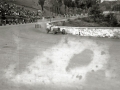 CARRERA AUTOMOVILISTICA EN EL CIRCUITO DE LASARTE. (Foto 284/493)