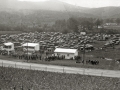 CARRERA AUTOMOVILISTICA EN EL CIRCUITO DE LASARTE. (Foto 68/493)
