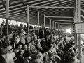 CARRERA AUTOMOVILISTICA EN EL CIRCUITO DE LASARTE. (Foto 182/493)