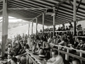 CARRERA AUTOMOVILISTICA EN EL CIRCUITO DE LASARTE. (Foto 185/493)