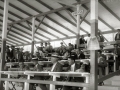 CARRERA AUTOMOVILISTICA EN EL CIRCUITO DE LASARTE. (Foto 221/493)