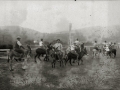 CARRERA DE BORRICOS EN EL HIPODROMO DE LASARTE. (Foto 1/1)