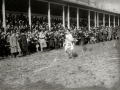 CARRERA DE CROSS POR SAN SEBASTIAN. (Foto 3/7)